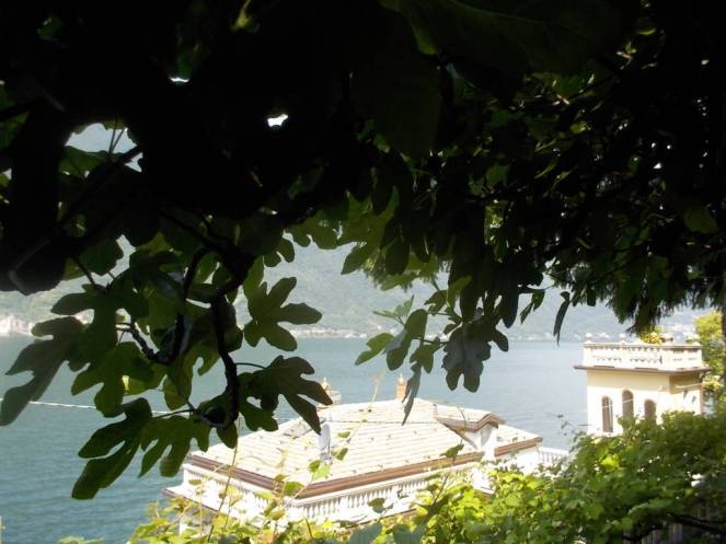 DSCN9813 (FILEminimizer)