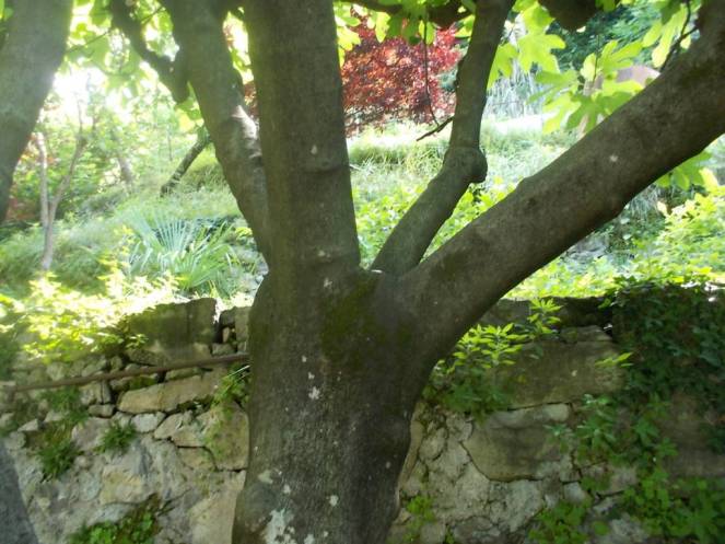 DSCN9815 (FILEminimizer)