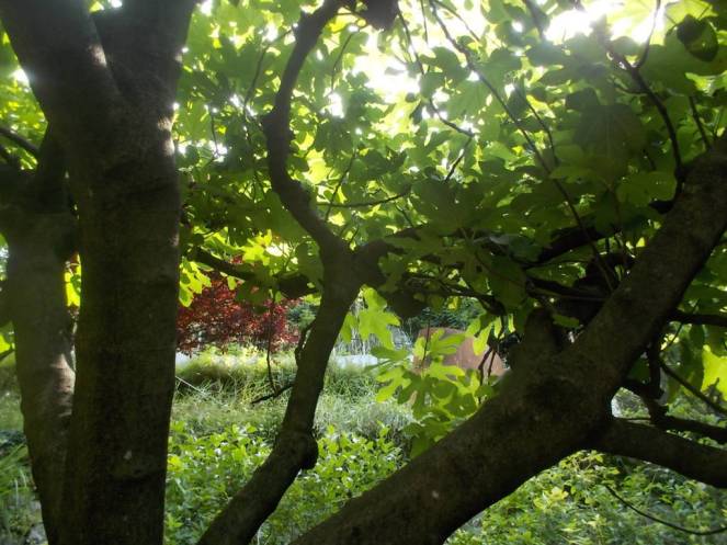 DSCN9817 (FILEminimizer)