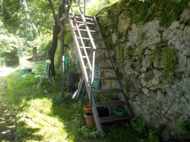 DSCN9819 (FILEminimizer)