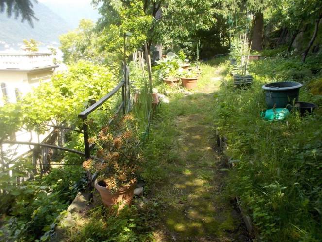 DSCN9821 (FILEminimizer)