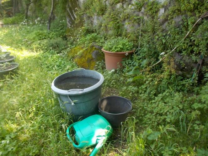 DSCN9823 (FILEminimizer)