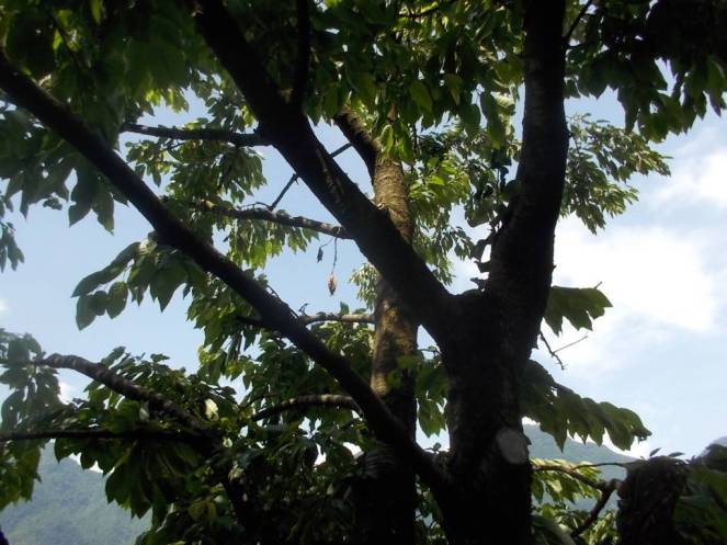 DSCN9836 (FILEminimizer)