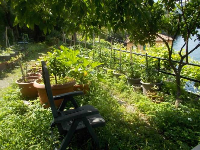 DSCN9838 (FILEminimizer)