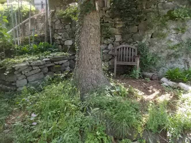 DSCN9840 (FILEminimizer)