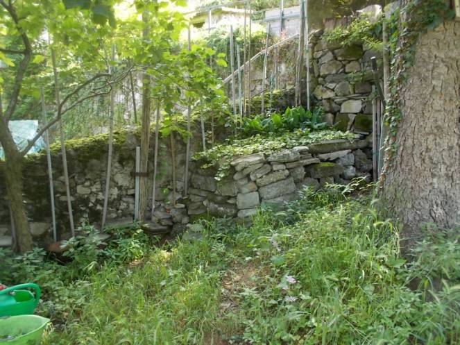 DSCN9841 (FILEminimizer)