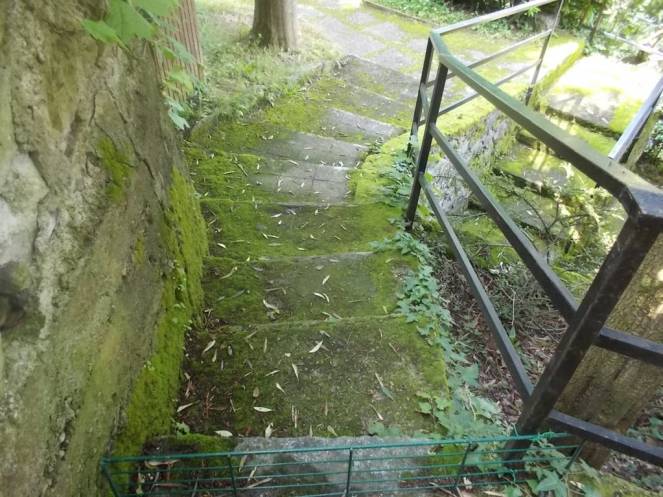 DSCN9848 (FILEminimizer)