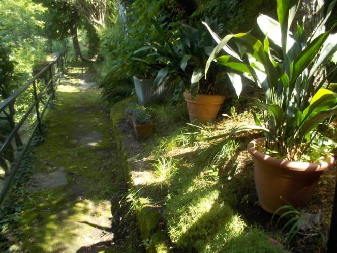 DSCN9850 (FILEminimizer)