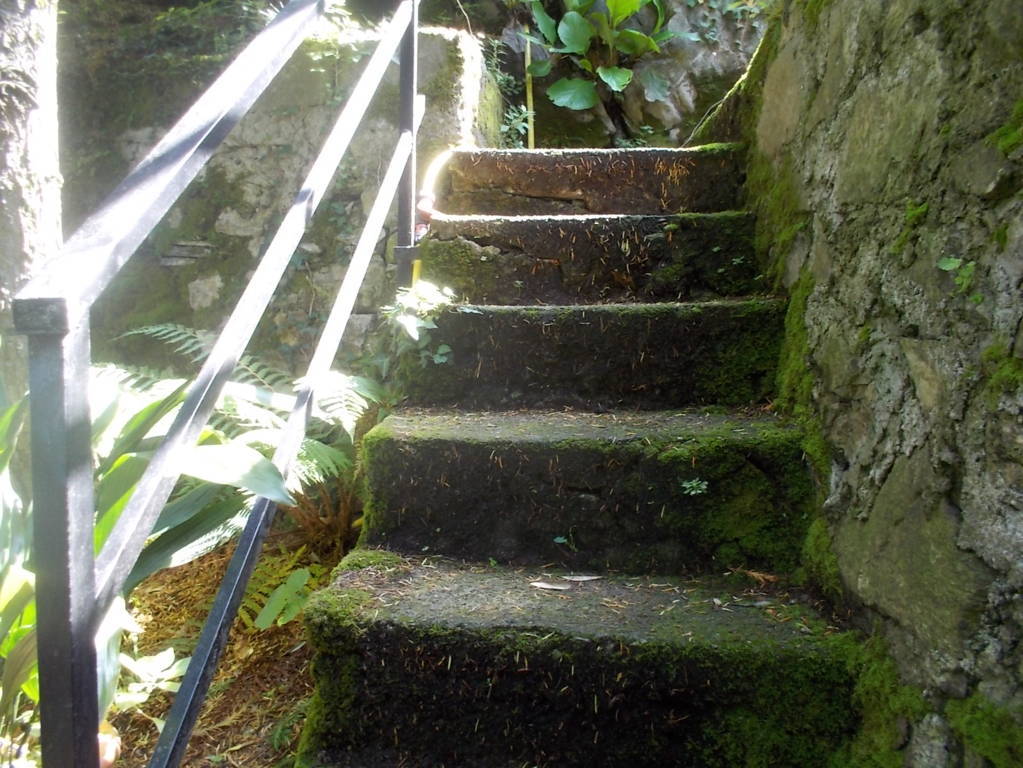 DSCN9851 (FILEminimizer)