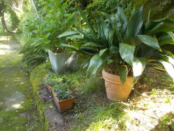 DSCN9852 (FILEminimizer)