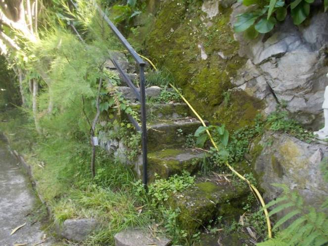 DSCN9855 (FILEminimizer)