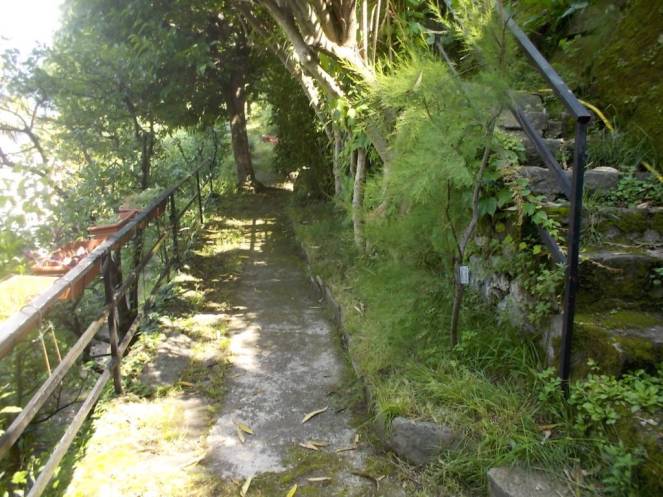 DSCN9859 (FILEminimizer)