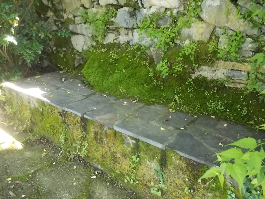 DSCN9861 (FILEminimizer)