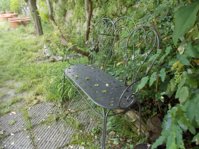 DSCN9863 (FILEminimizer)