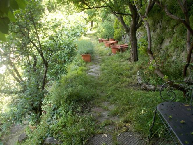 DSCN9864 (FILEminimizer)