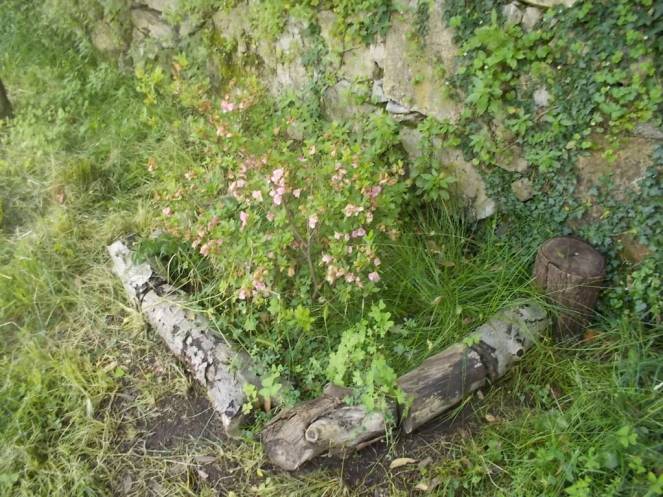 DSCN9865 (FILEminimizer)