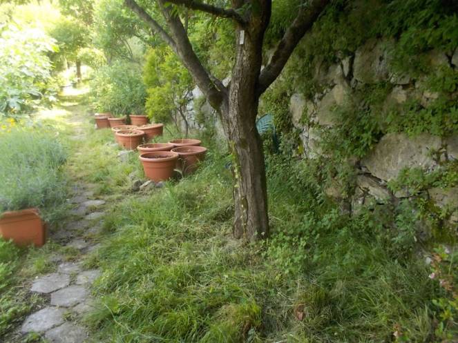 DSCN9866 (FILEminimizer)