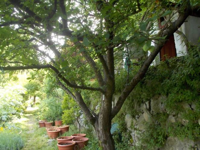 DSCN9867 (FILEminimizer)