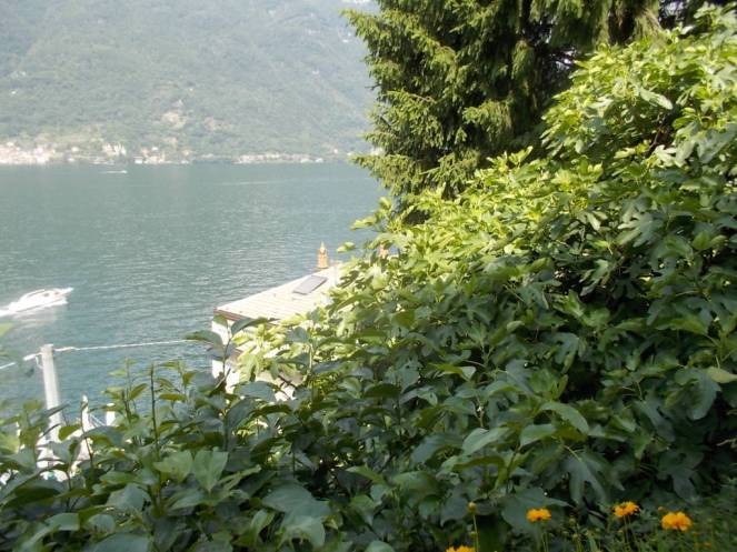 DSCN9873 (FILEminimizer)