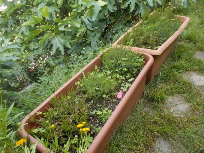 DSCN9875 (FILEminimizer)