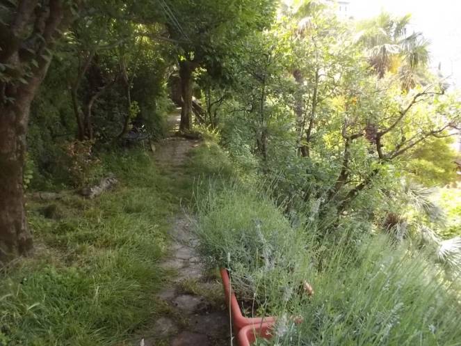 DSCN9877 (FILEminimizer)