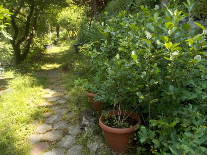 DSCN9885 (FILEminimizer)