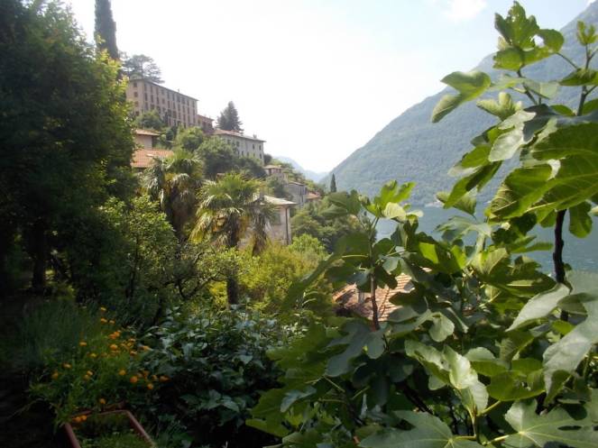 DSCN9887 (FILEminimizer)