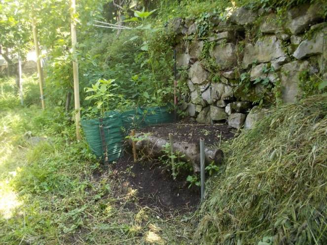 DSCN9891 (FILEminimizer)