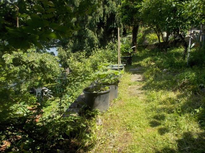 DSCN9892 (FILEminimizer)