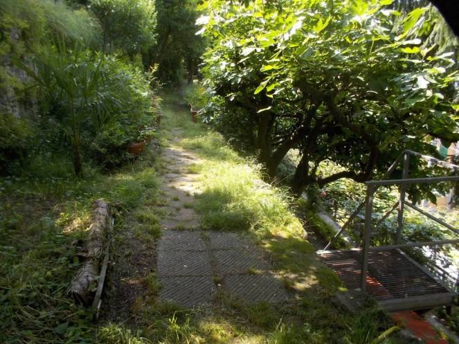 DSCN9893 (FILEminimizer)