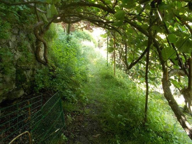 DSCN9915 (FILEminimizer)