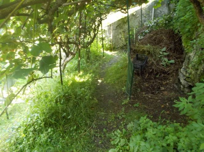 DSCN9916 (FILEminimizer)