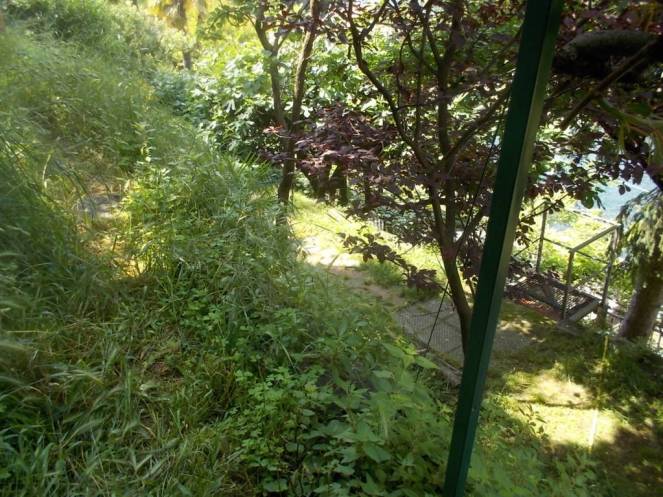 DSCN9919 (FILEminimizer)