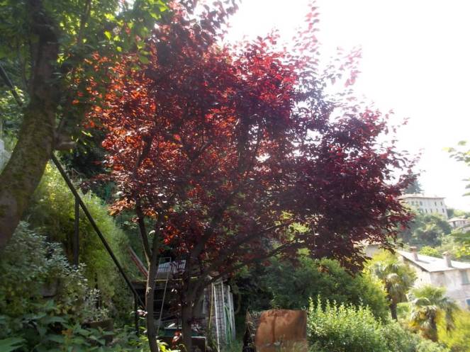 DSCN9921 (FILEminimizer)