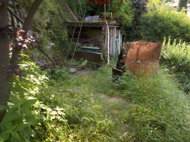 DSCN9923 (FILEminimizer)