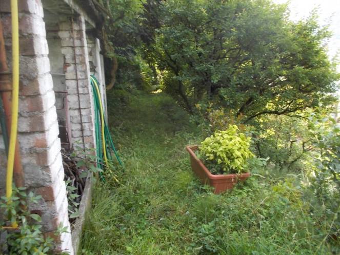 DSCN9926 (FILEminimizer)