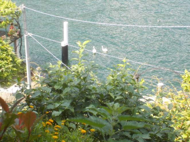 DSCN9929 (FILEminimizer)