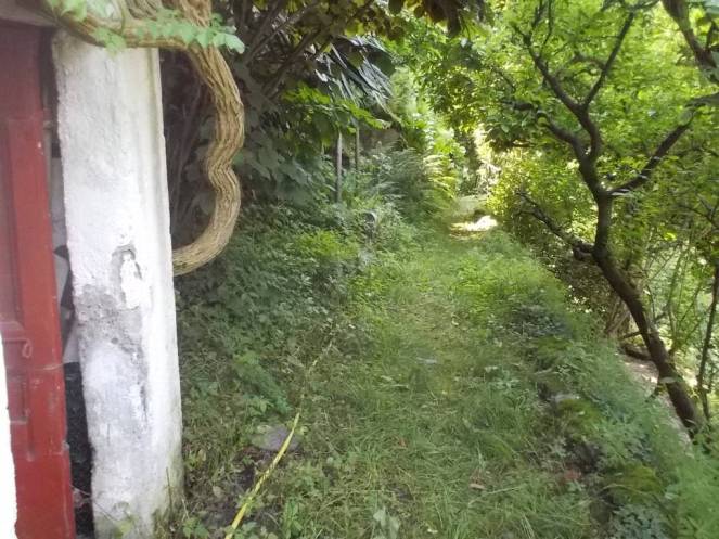 DSCN9930 (FILEminimizer)