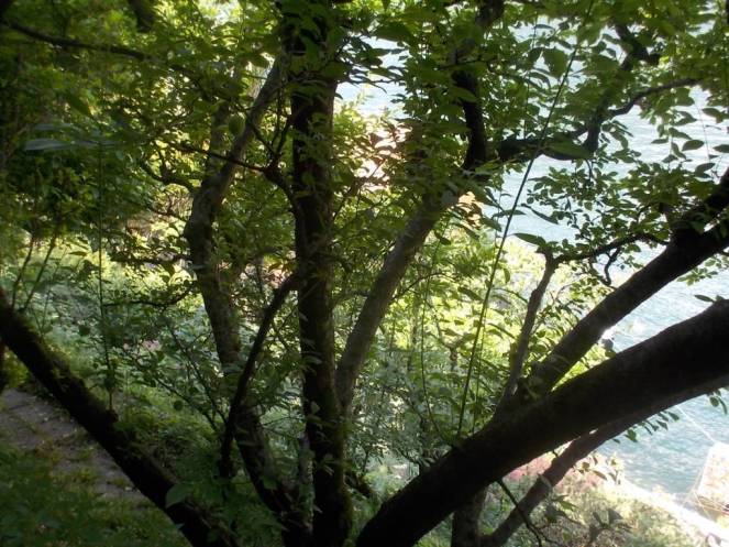 DSCN9931 (FILEminimizer)