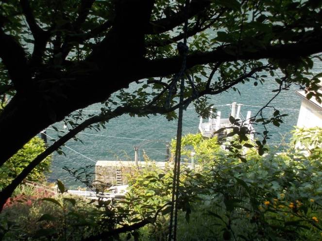 DSCN9932 (FILEminimizer)