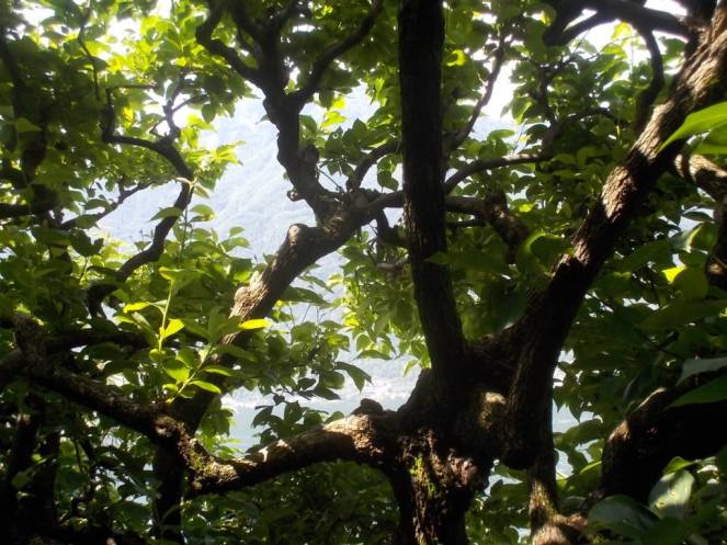 DSCN9936 (FILEminimizer)