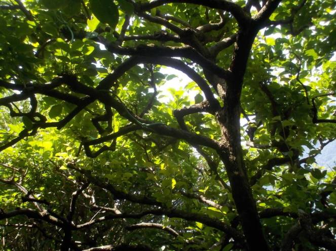 DSCN9937 (FILEminimizer)