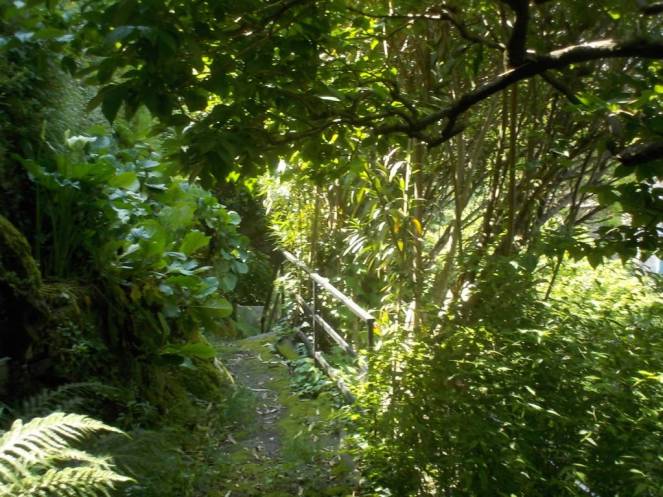 DSCN9938 (FILEminimizer)