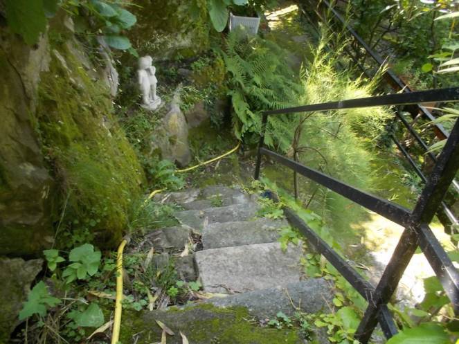 DSCN9939 (FILEminimizer)