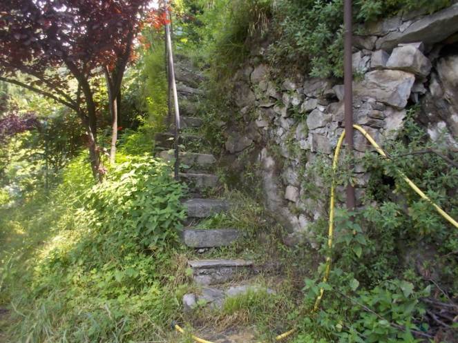 DSCN9943 (FILEminimizer)