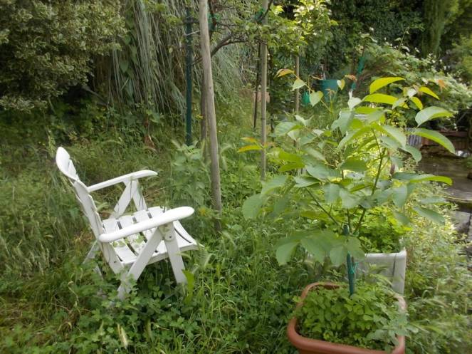 DSCN9948 (FILEminimizer)