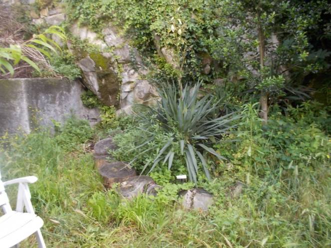 DSCN9950 (FILEminimizer)