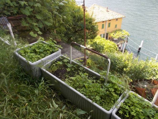 DSCN9956 (FILEminimizer)