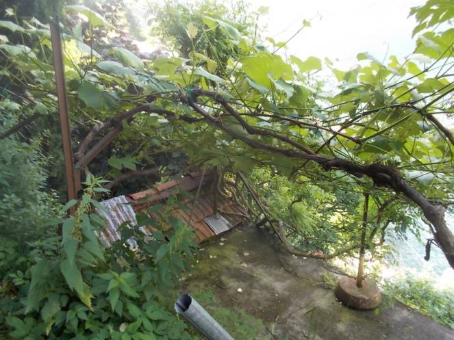 DSCN9958 (FILEminimizer)