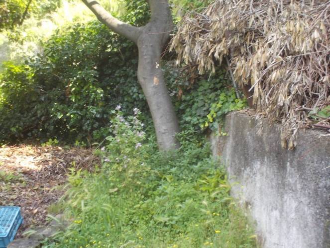 DSCN9966 (FILEminimizer)